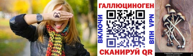 хочу наркоту  Завитинск  Галлюциногенные грибы Psilocybe 